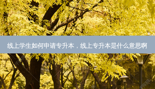 线上学生如何申请专升本,线上专升本是什么意思啊-第1张图片-天智网 线上学生如何申请专升本,线上专升本是什么意思啊-第1张图片-天智网