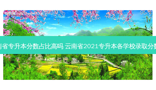 云南省专升本分数占比高吗 云南省2021专升本各学校录取分数线-第1张图片-汇成专升本网