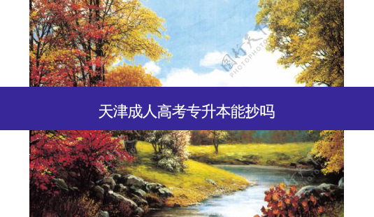 天津成人高考专升本能抄吗-第1张图片-天智网 天津成人高考专升本能抄吗-第1张图片-天智网