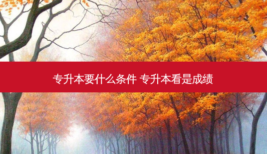 专升本要什么条件 专升本看是成绩-第1张图片-天智网 专升本要什么条件 专升本看是成绩-第1张图片-天智网