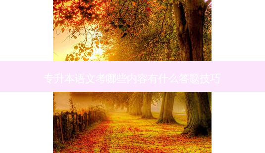 专升本语文考哪些内容有什么答题技巧-第1张图片-天智网 专升本语文考哪些内容有什么答题技巧-第1张图片-天智网