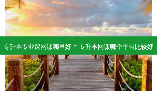 专升本专业课网课哪里好上 专升本网课哪个平台比较好-第1张图片-天智网 专升本专业课网课哪里好上 专升本网课哪个平台比较好-第1张图片-天智网