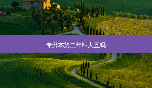 专升本第二年叫大五吗-第1张图片-天智网 专升本第二年叫大五吗-第1张图片-天智网