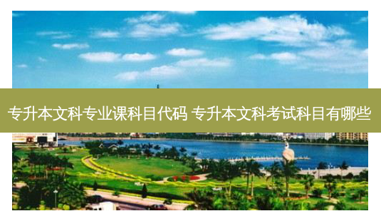 专升本文科专业课科目代码 专升本文科考试科目有哪些-第1张图片-天智网 专升本文科专业课科目代码 专升本文科考试科目有哪些-第1张图片-天智网