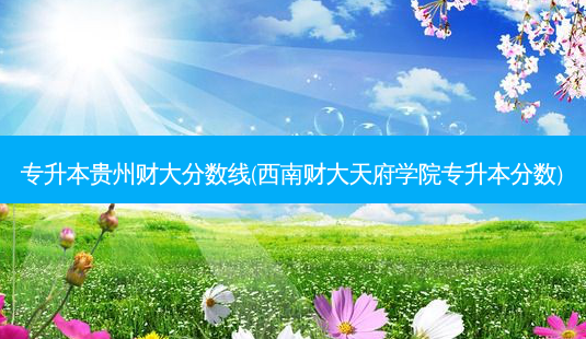 专升本贵州财大分数线(西南财大天府学院专升本分数)-第1张图片-天智网 专升本贵州财大分数线(西南财大天府学院专升本分数)-第1张图片-天智网