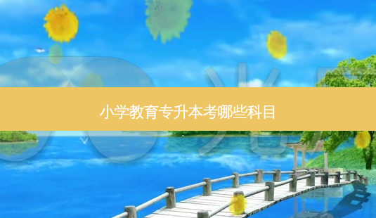 小学教育专升本考哪些科目-第1张图片-天智网 小学教育专升本考哪些科目-第1张图片-天智网