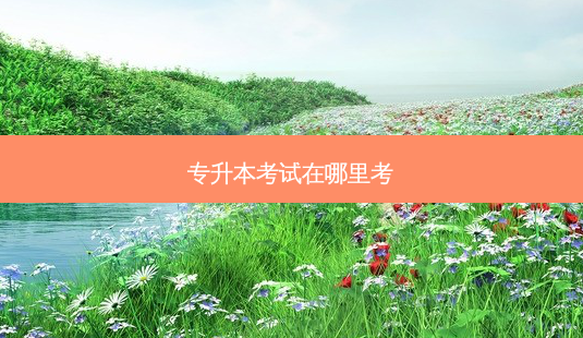 专升本考试在哪里考-第1张图片-天智网 专升本考试在哪里考-第1张图片-天智网
