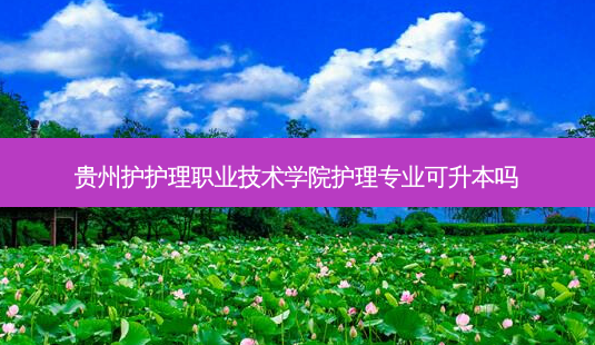 贵州护护理职业技术学院护理专业可升本吗-第1张图片-天智网 贵州护护理职业技术学院护理专业可升本吗-第1张图片-天智网