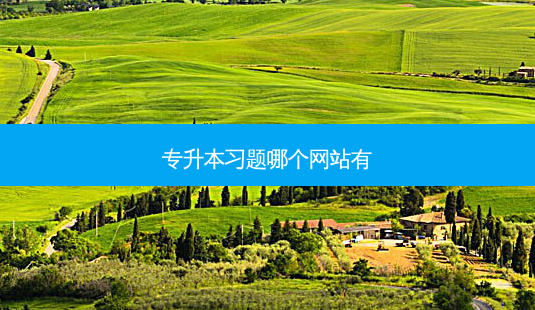 专升本习题哪个网站有-第1张图片-天智网 专升本习题哪个网站有-第1张图片-天智网