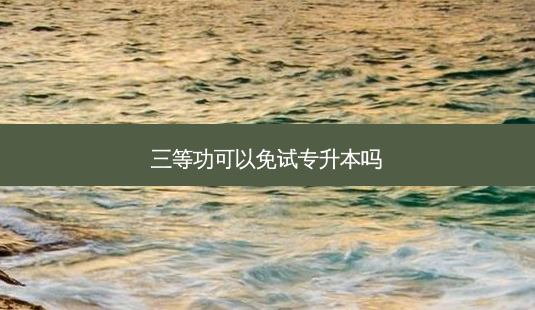 三等功可以免试专升本吗-第1张图片-天智网 三等功可以免试专升本吗-第1张图片-天智网