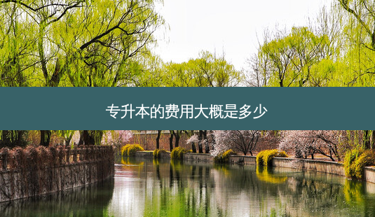 专升本的费用大概是多少-第1张图片-天智网 专升本的费用大概是多少-第1张图片-天智网