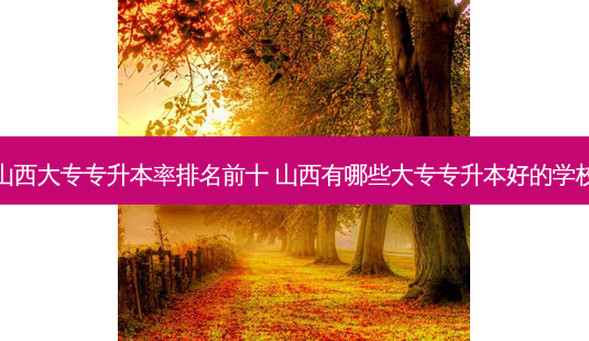 山西大专专升本率排名前十 山西有哪些大专专升本好的学校-第1张图片-天智网 山西大专专升本率排名前十 山西有哪些大专专升本好的学校-第1张图片-天智网