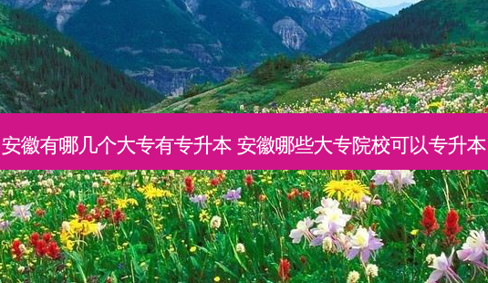 安徽有哪几个大专有专升本 安徽哪些大专院校可以专升本-第1张图片-天智网 安徽有哪几个大专有专升本 安徽哪些大专院校可以专升本-第1张图片-天智网