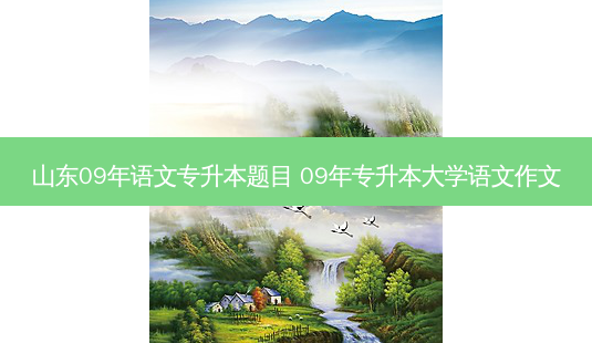 山东09年语文专升本题目 09年专升本大学语文作文-第1张图片-天智网 山东09年语文专升本题目 09年专升本大学语文作文-第1张图片-天智网