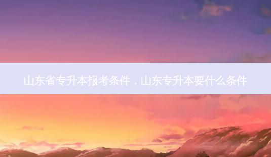 山东省专升本报考条件，山东专升本要什么条件-第1张图片-汇成专升本网