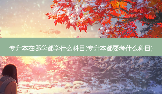 专升本在哪学都学什么科目(专升本都要考什么科目)-第1张图片-天智网 专升本在哪学都学什么科目(专升本都要考什么科目)-第1张图片-天智网