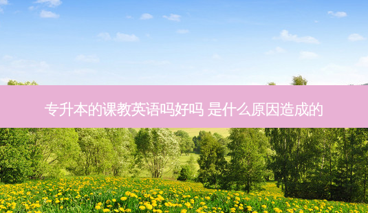 专升本的课教英语吗好吗 是什么原因造成的-第1张图片-天智网 专升本的课教英语吗好吗 是什么原因造成的-第1张图片-天智网