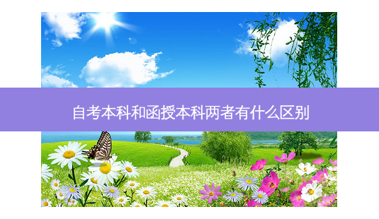 自考本科和函授本科两者有什么区别-第1张图片-天智网 自考本科和函授本科两者有什么区别-第1张图片-天智网