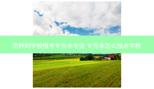 怎样到学校报考专升本专业 专升本怎么报名学校-第1张图片-天智网 怎样到学校报考专升本专业 专升本怎么报名学校-第1张图片-天智网