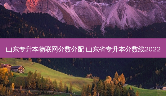 山东专升本物联网分数分配 山东省专升本分数线2022-第1张图片-汇成专升本网