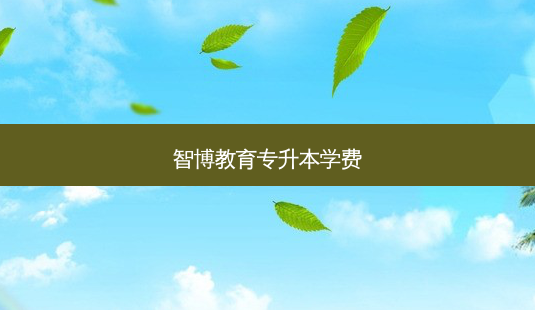 智博教育专升本学费-第1张图片-天智网 智博教育专升本学费-第1张图片-天智网