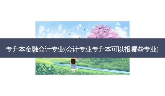 专升本金融会计专业(会计专业专升本可以报哪些专业)-第1张图片-天智网 专升本金融会计专业(会计专业专升本可以报哪些专业)-第1张图片-天智网
