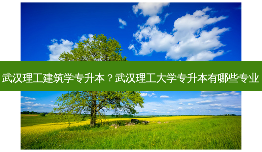 武汉理工建筑学专升本?武汉理工大学专升本有哪些专业-第1张图片-天智网 武汉理工建筑学专升本?武汉理工大学专升本有哪些专业-第1张图片-天智网