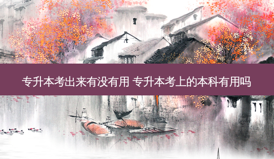 专升本考出来有没有用 专升本考上的本科有用吗-第1张图片-天智网 专升本考出来有没有用 专升本考上的本科有用吗-第1张图片-天智网