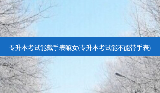 专升本考试能戴手表嘛女(专升本考试能不能带手表)-第1张图片-天智网 专升本考试能戴手表嘛女(专升本考试能不能带手表)-第1张图片-天智网