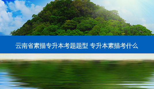 云南省素描专升本考题题型 专升本素描考什么-第1张图片-天智网 云南省素描专升本考题题型 专升本素描考什么-第1张图片-天智网