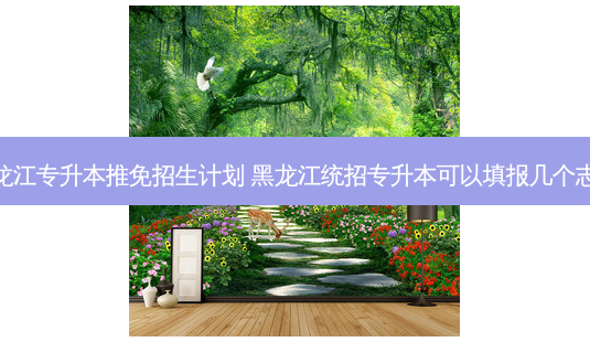 黑龙江专升本推免招生计划 黑龙江统招专升本可以填报几个志愿-第1张图片-天智网 黑龙江专升本推免招生计划 黑龙江统招专升本可以填报几个志愿-第1张图片-天智网