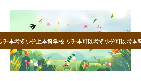 专升本考多少分上本科学校 专升本可以考多少分可以考本科-第1张图片-汇成专升本网