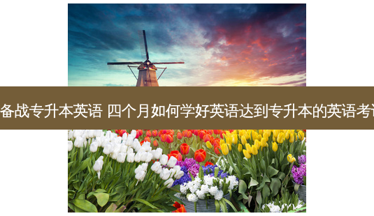 四个月备战专升本英语 四个月如何学好英语达到专升本的英语考试即可!-第1张图片-天智网 四个月备战专升本英语 四个月如何学好英语达到专升本的英语考试即可!-第1张图片-天智网