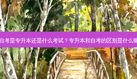 自考是专升本还是什么考试?专升本和自考的区别是什么呢-第1张图片-天智网 自考是专升本还是什么考试?专升本和自考的区别是什么呢-第1张图片-天智网