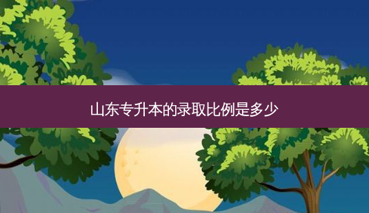 山东专升本的录取比例是多少-第1张图片-天智网 山东专升本的录取比例是多少-第1张图片-天智网