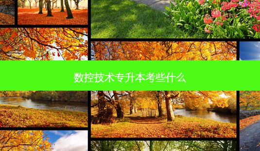 数控技术专升本考些什么-第1张图片-天智网 数控技术专升本考些什么-第1张图片-天智网