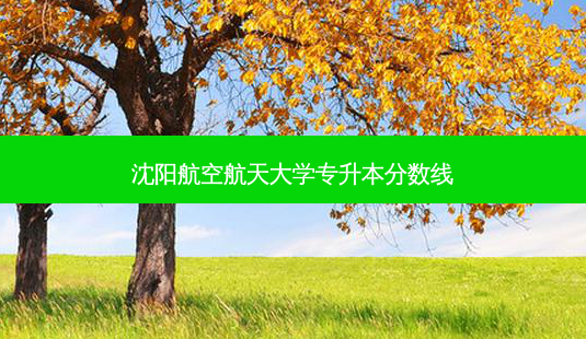 沈阳航空航天大学专升本分数线-第1张图片-天智网 沈阳航空航天大学专升本分数线-第1张图片-天智网