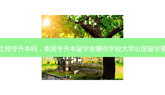 泰国留学生招专升本吗,泰国专升本留学有哪些学校大学出国留学要准备什么-第1张图片-天智网 泰国留学生招专升本吗,泰国专升本留学有哪些学校大学出国留学要准备什么-第1张图片-天智网