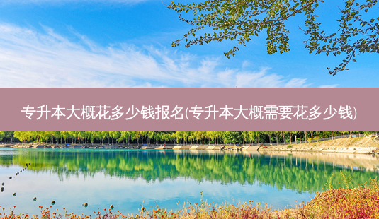 专升本大概花多少钱报名(专升本大概需要花多少钱)-第1张图片-天智网 专升本大概花多少钱报名(专升本大概需要花多少钱)-第1张图片-天智网
