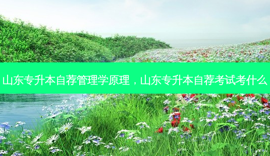 山东专升本自荐管理学原理,山东专升本自荐考试考什么-第1张图片-天智网 山东专升本自荐管理学原理,山东专升本自荐考试考什么-第1张图片-天智网