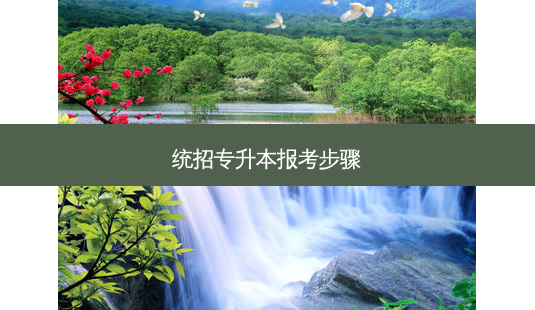 统招专升本报考步骤-第1张图片-天智网 统招专升本报考步骤-第1张图片-天智网