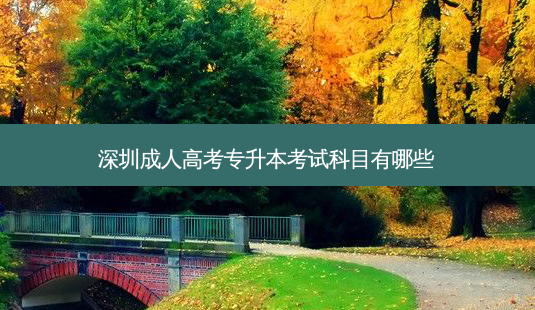 深圳成人高考专升本考试科目有哪些-第1张图片-天智网 深圳成人高考专升本考试科目有哪些-第1张图片-天智网