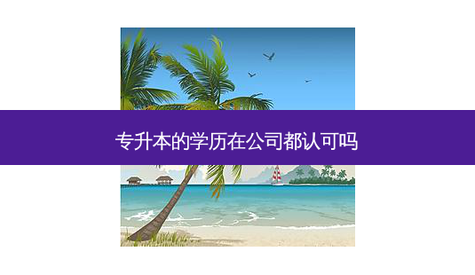 专升本的学历在公司都认可吗-第1张图片-天智网 专升本的学历在公司都认可吗-第1张图片-天智网