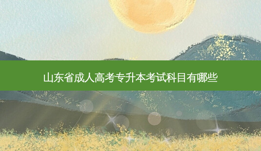 山东省成人高考专升本考试科目有哪些-第1张图片-天智网 山东省成人高考专升本考试科目有哪些-第1张图片-天智网
