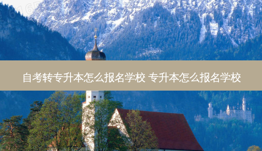 自考转专升本怎么报名学校 专升本怎么报名学校-第1张图片-天智网 自考转专升本怎么报名学校 专升本怎么报名学校-第1张图片-天智网