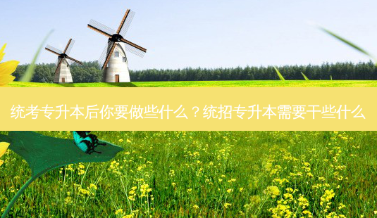 统考专升本后你要做些什么?统招专升本需要干些什么-第1张图片-天智网 统考专升本后你要做些什么?统招专升本需要干些什么-第1张图片-天智网