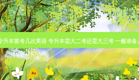 大三专升本要考几次英语 专升本是大二考还是大三考 一般准备几个月-第1张图片-天智网 大三专升本要考几次英语 专升本是大二考还是大三考 一般准备几个月-第1张图片-天智网