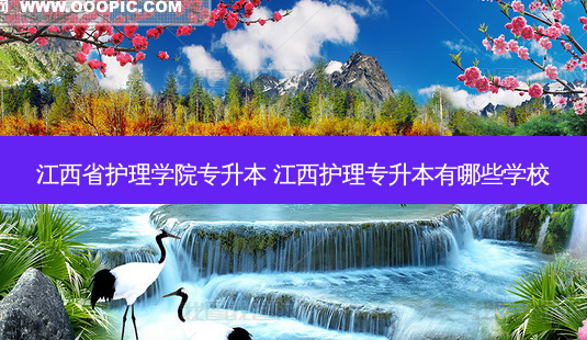 江西省护理学院专升本 江西护理专升本有哪些学校-第1张图片-天智网 江西省护理学院专升本 江西护理专升本有哪些学校-第1张图片-天智网