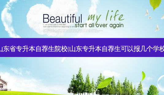 山东省专升本自荐生院校(山东专升本自荐生可以报几个学校)-第1张图片-天智网 山东省专升本自荐生院校(山东专升本自荐生可以报几个学校)-第1张图片-天智网