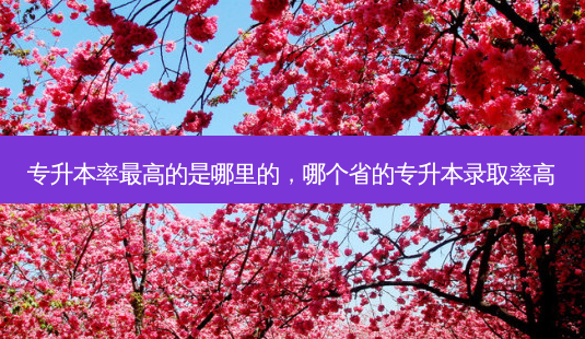 专升本率 *** 高的是哪里的,哪个省的专升本录取率高-第1张图片-天智网 专升本率 *** 高的是哪里的,哪个省的专升本录取率高-第1张图片-天智网
